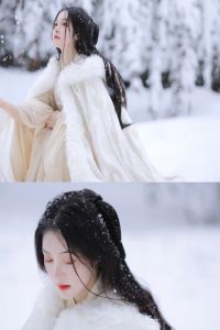 Thái Tử Phi Hoạ Tinh