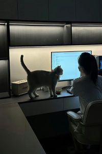 Tôi Là Bạch Nguyệt Quang Trong Truyện Ngược