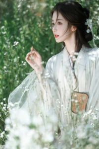 Phong Vân Nổi Gió