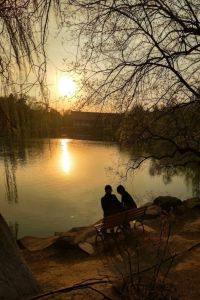 CON ĐƯỜNG DÀI PHÍA TRƯỚC