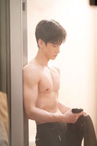 Chim Hoàng Yến Của Nữ Phụ