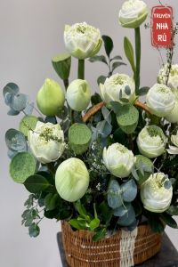 Đôi Mắt Đào Hoa