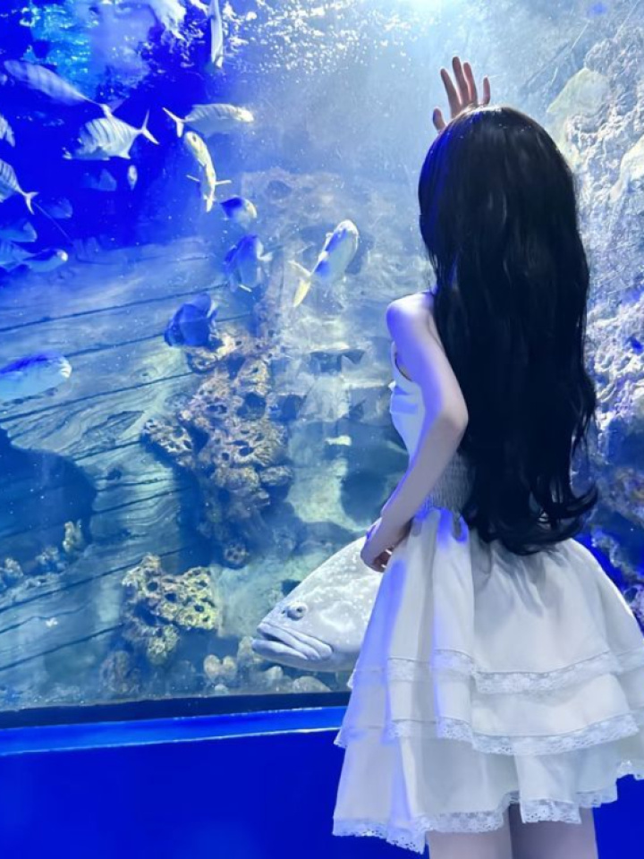 Chàng Phản Diện Gửi Nhầm Bữa Sáng