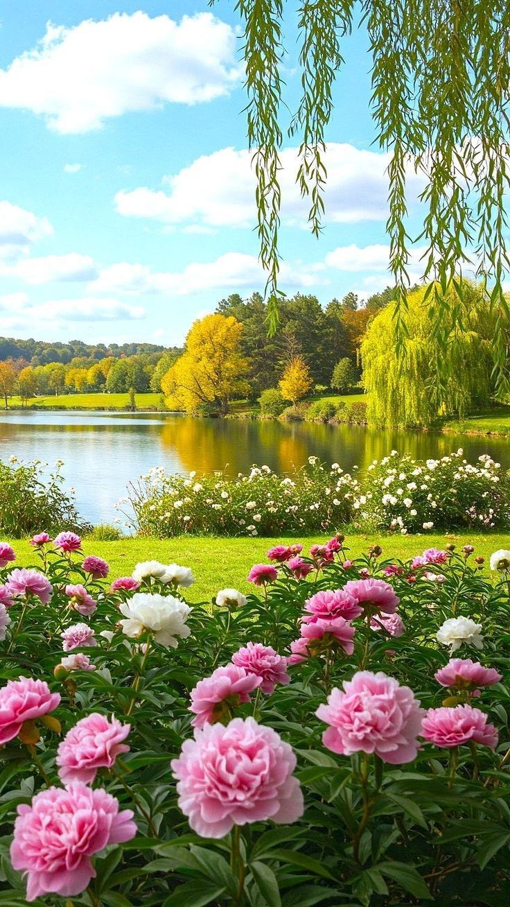 Bìa truyện Hôn Nhân Không Bình Yên