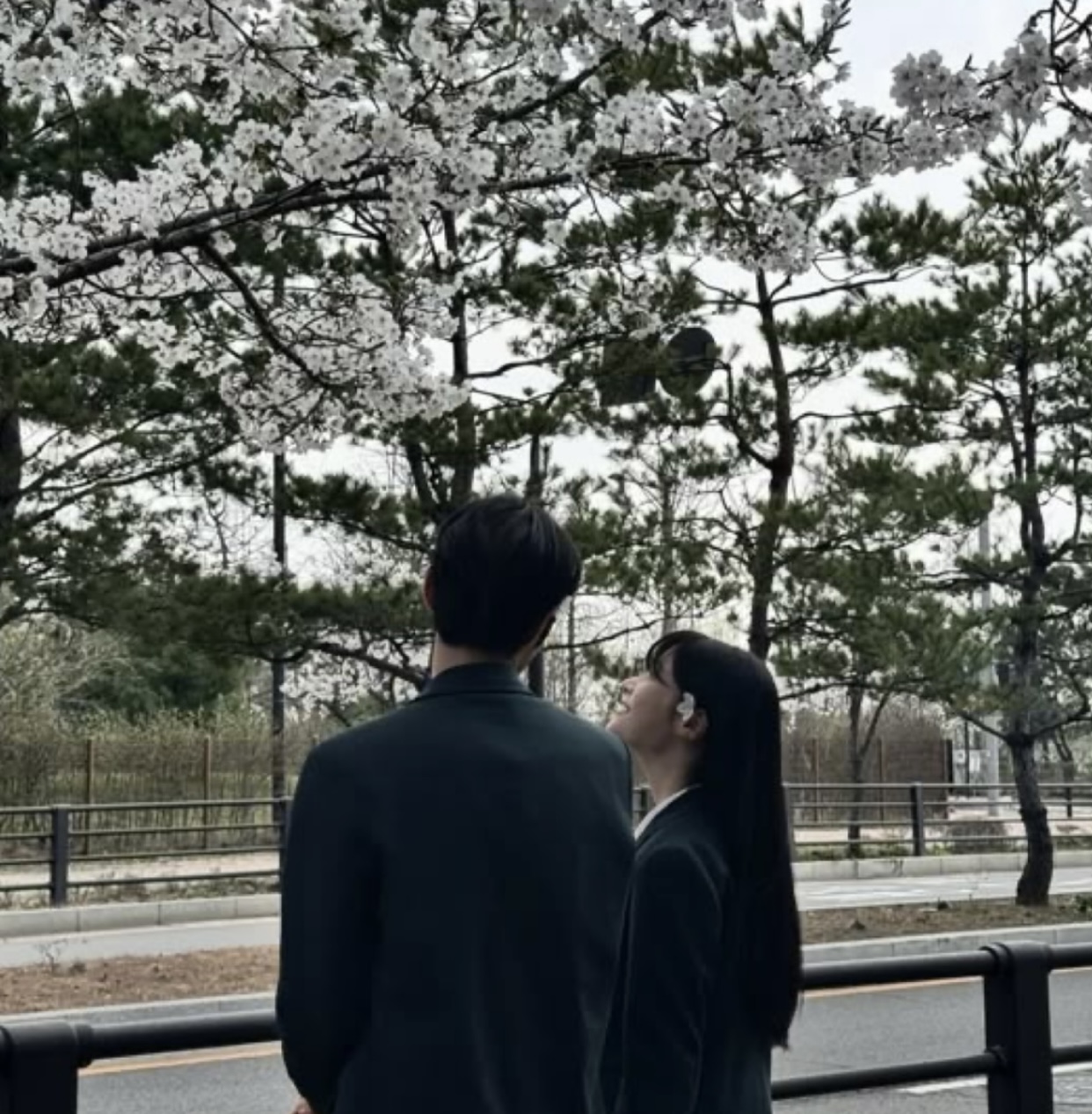 KHÔNG CÒN TIN VÀO TÌNH YÊU