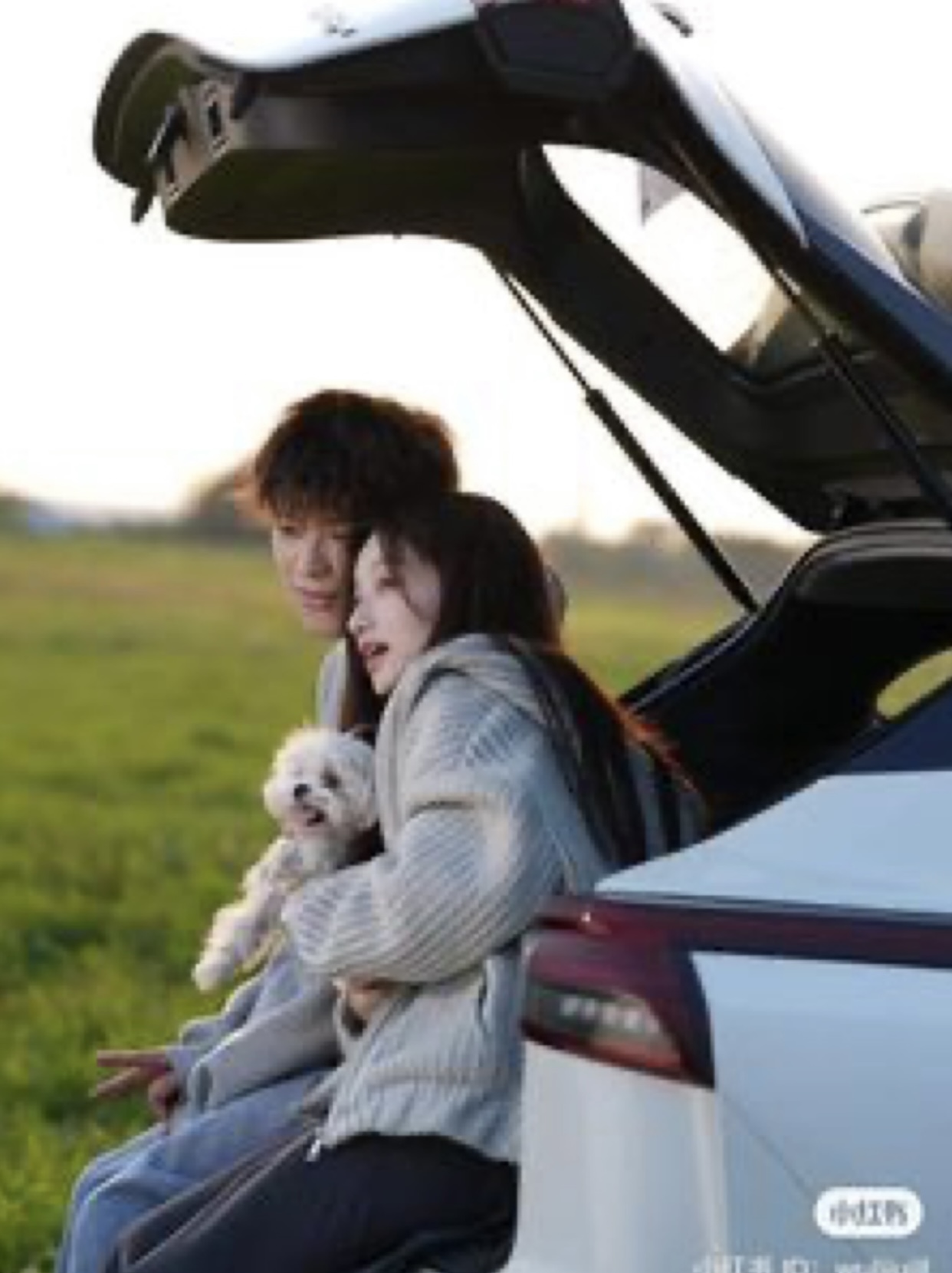 Bìa truyện TÌNH YÊU TRÊN TÀU CAO TỐC