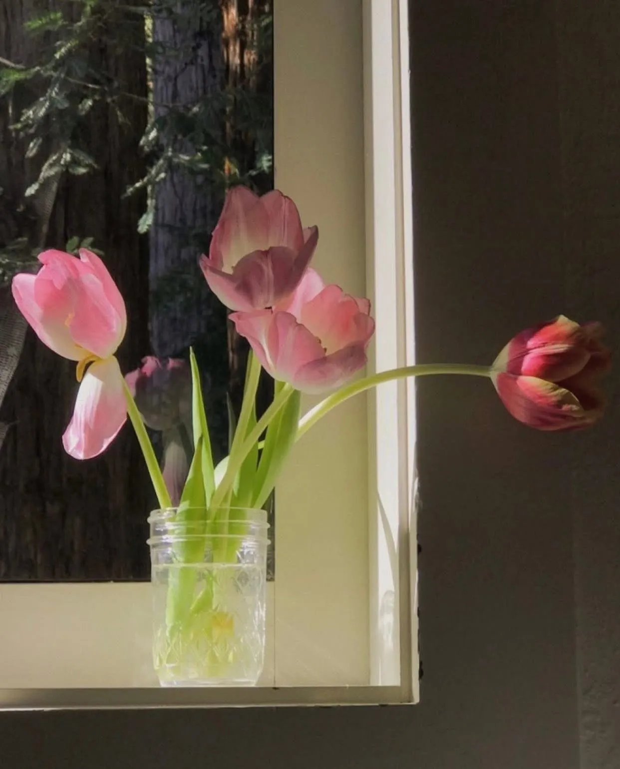 Bìa truyện CẢ BẦU TRỜI SAO VÔ TẬN