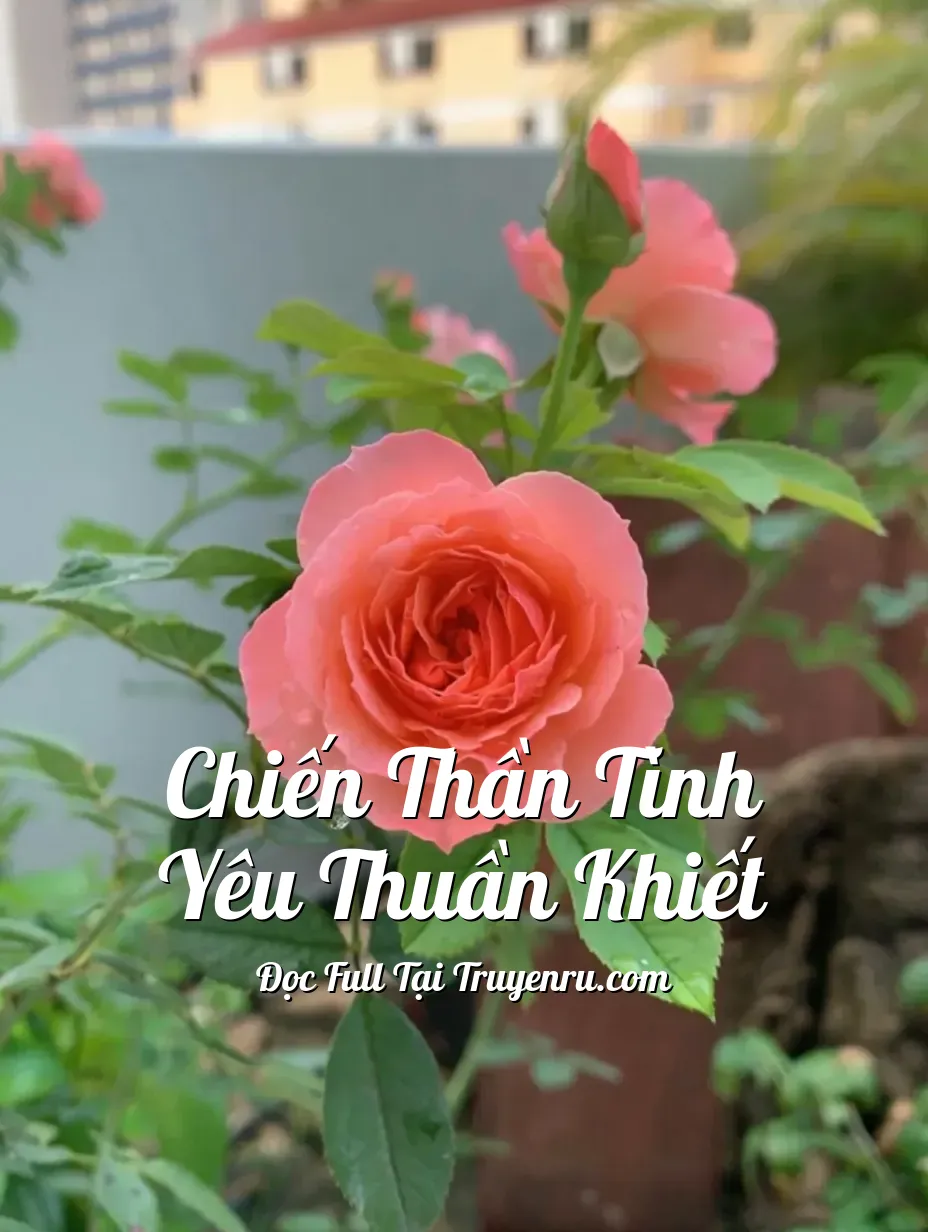 Bìa truyện Chiến thần tình yêu thuần khiết
