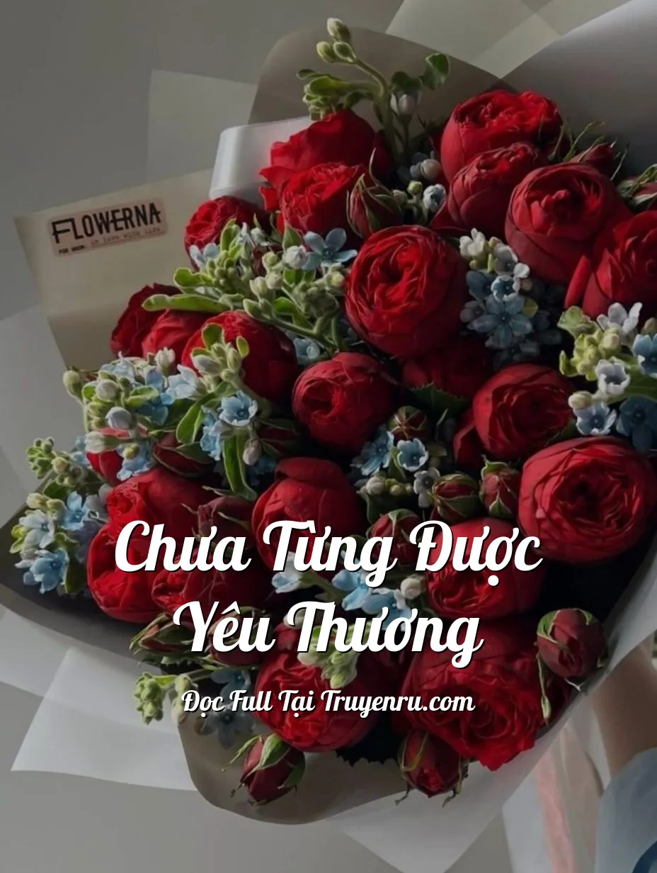 CHƯA TỪNG ĐƯỢC YÊU THƯƠNG