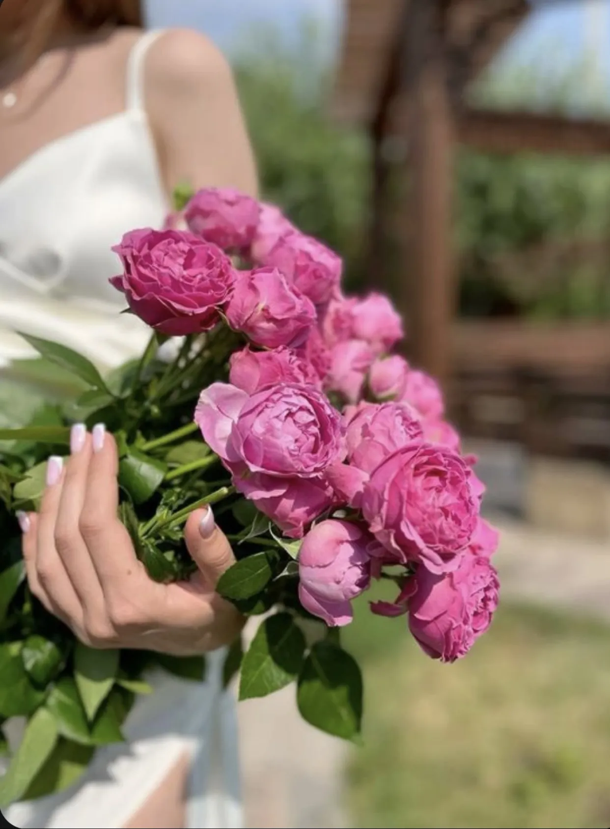 Bìa truyện CHUỖI PHẬT CHÂU CỦA THÁI TỬ GIA