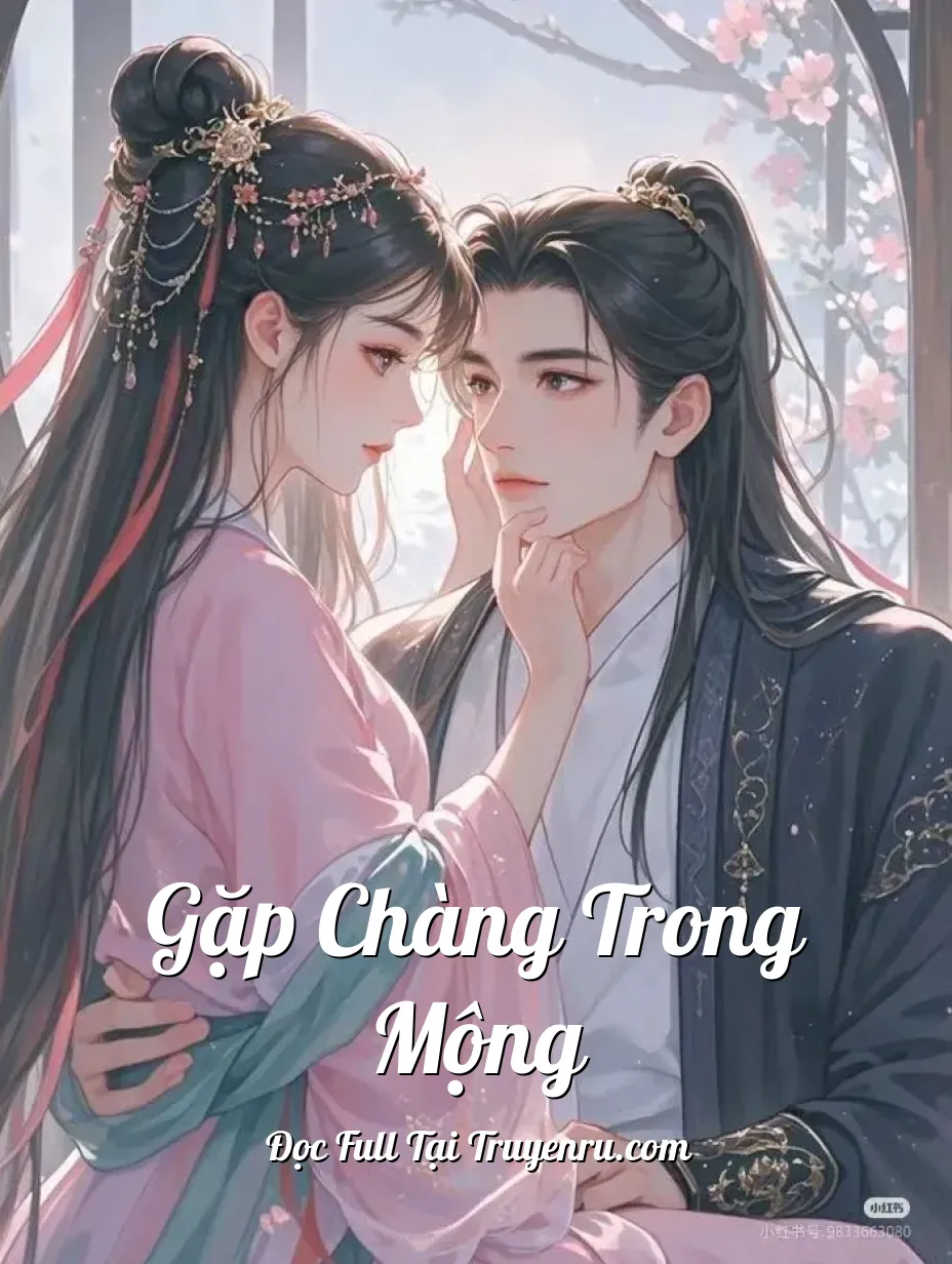 Bìa truyện Gặp Chàng Trong Mộng