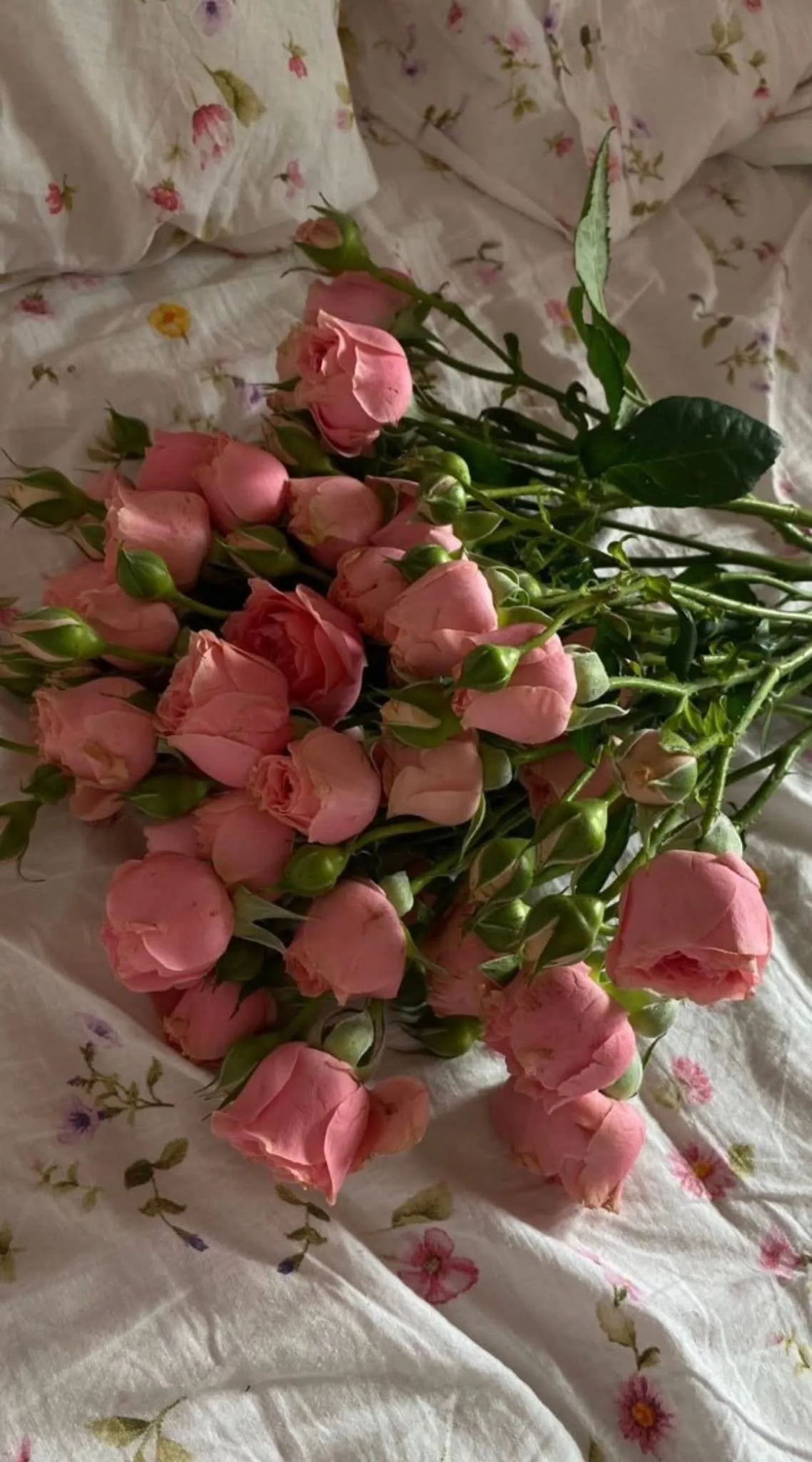 Bìa truyện GẶP LẠI TÌNH ĐỊCH CŨ