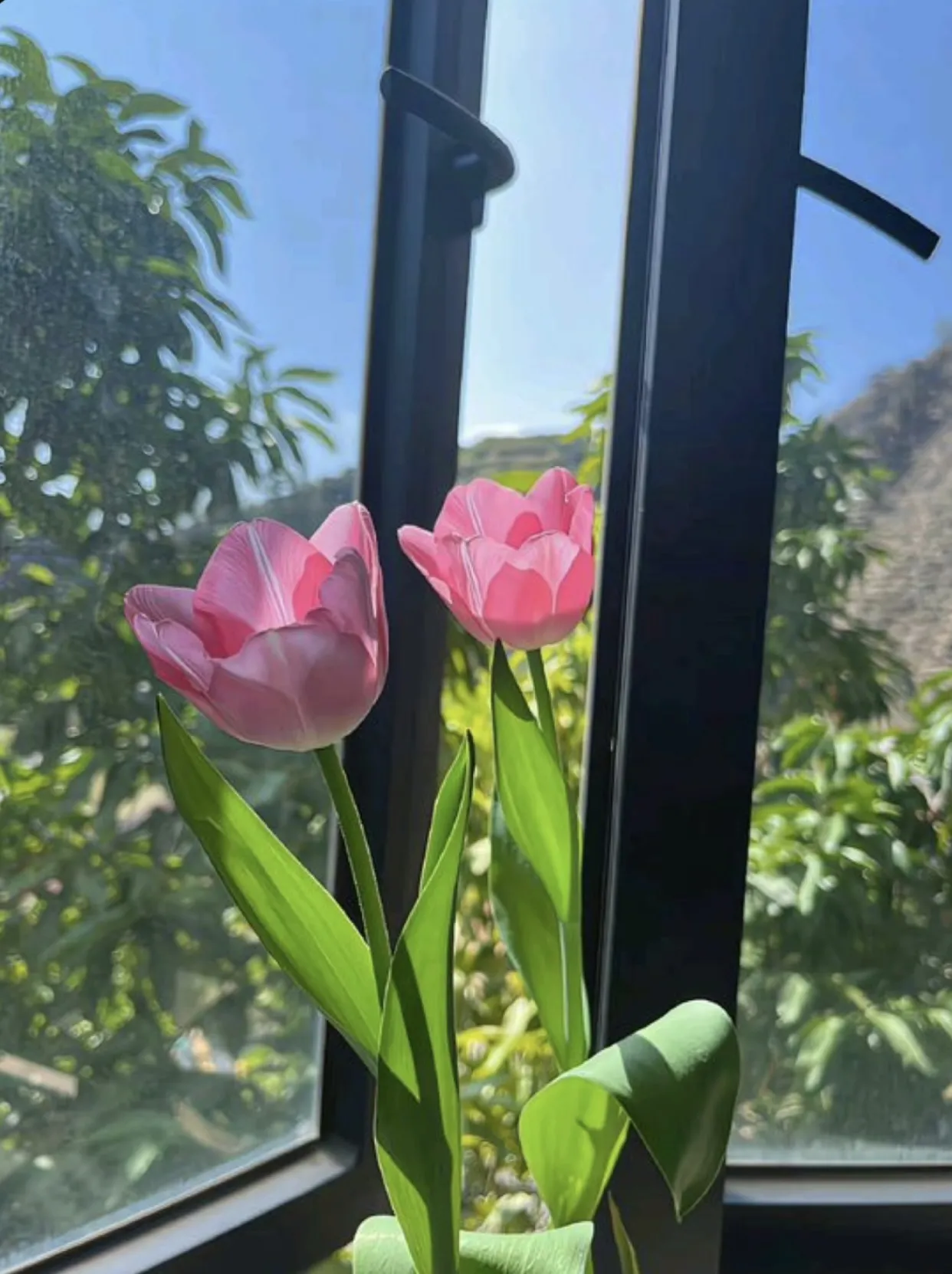 Bìa truyện GIẢM CÂN THÀNH CÔNG