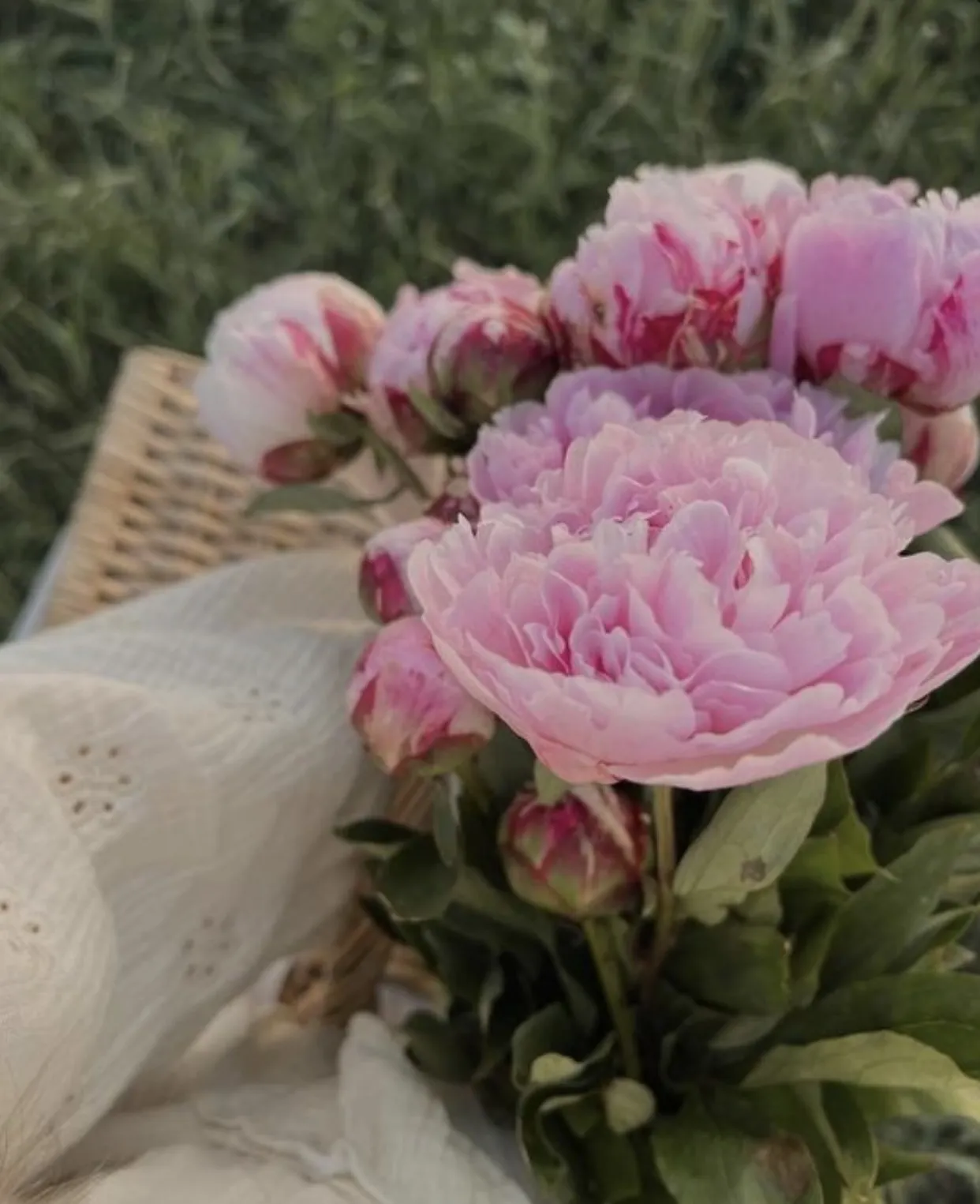 Bìa truyện GIỌNG KHÓC TO