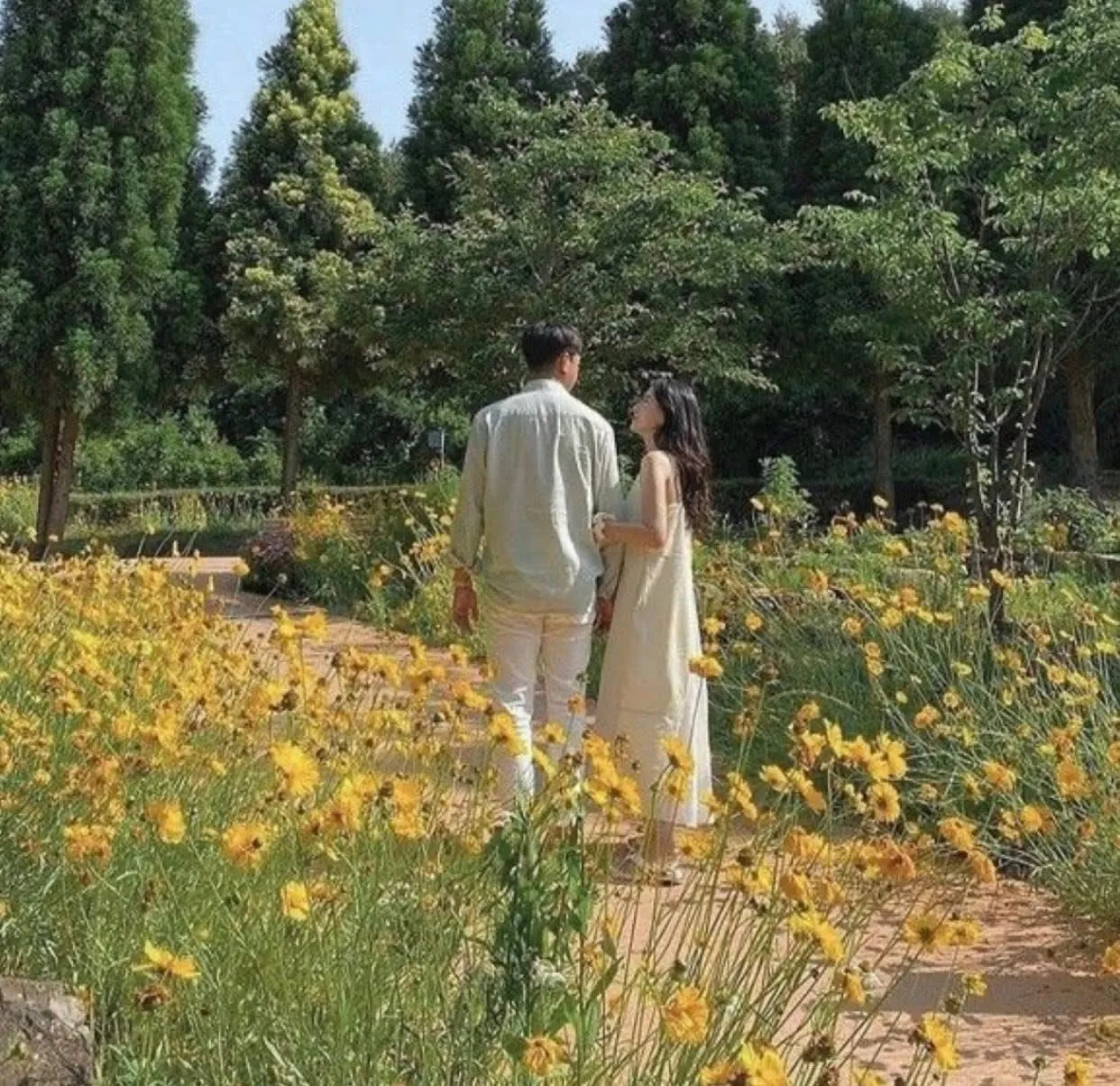 Bìa truyện HUỶ HÔN ĐÚNG LÚC