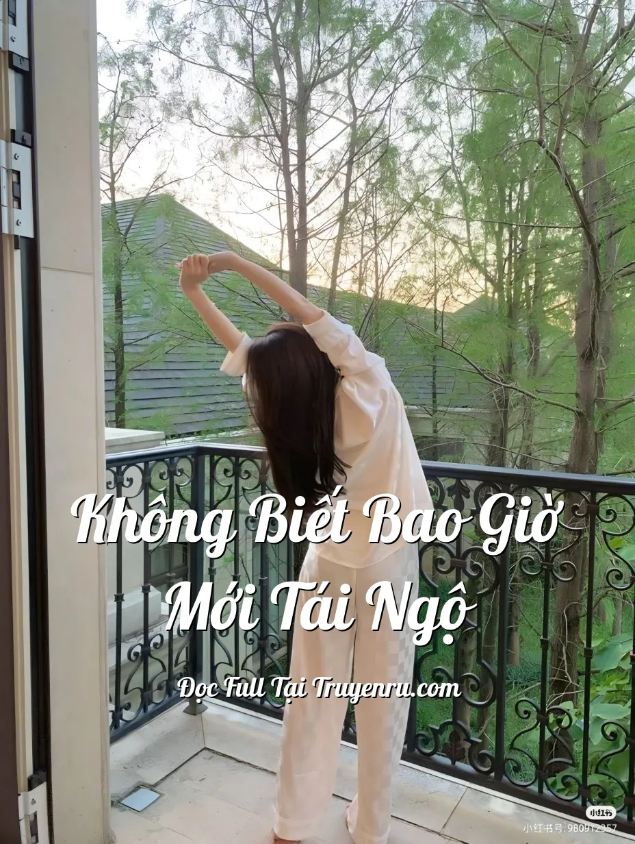 KHÔNG BIẾT BAO GIỜ MỚI TÁI NGỘ