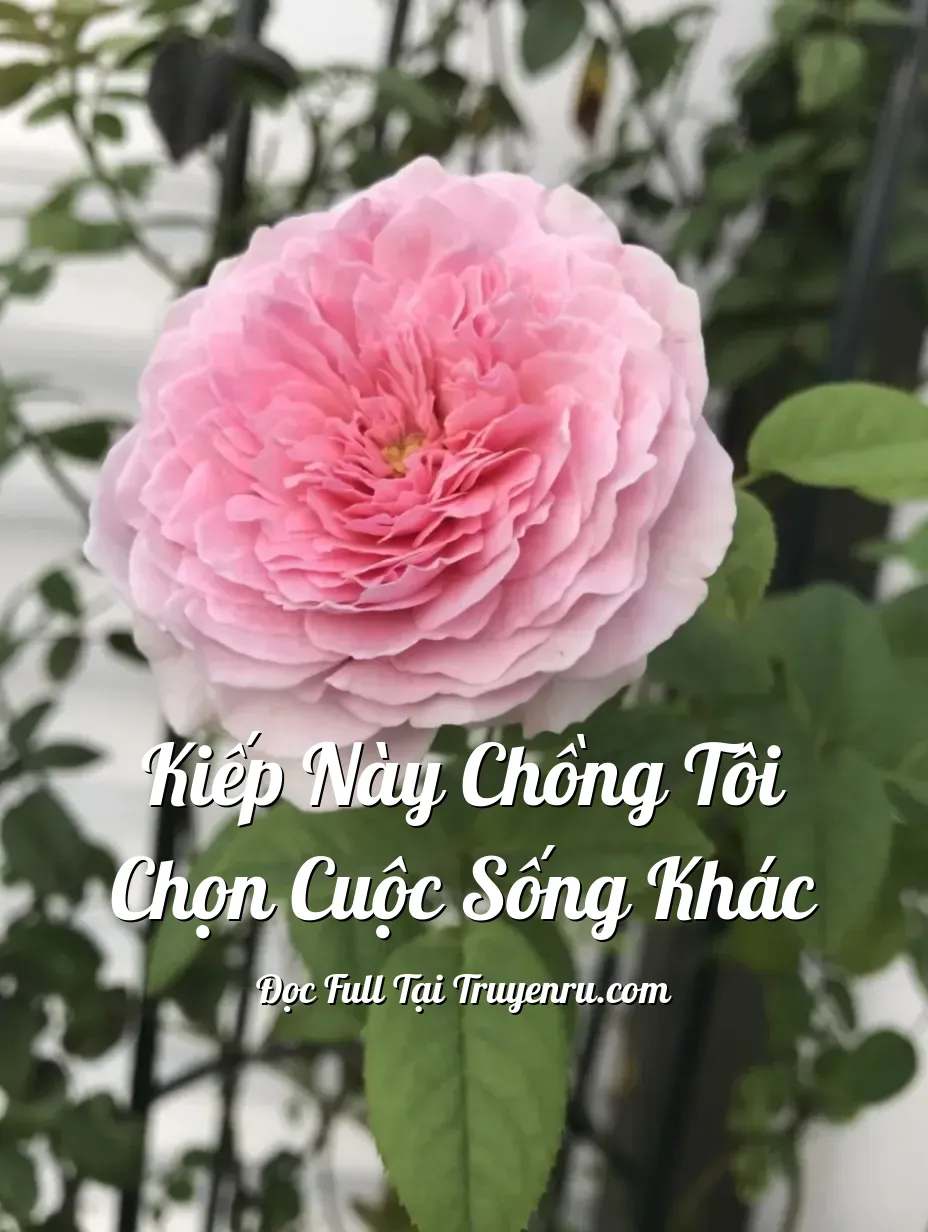 Bìa truyện Kiếp này chồng tôi chọn cuộc sống khác