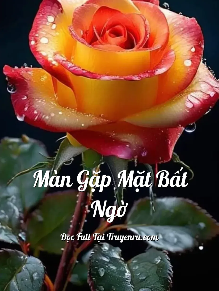 Bìa truyện Màn gặp mặt bất ngờ