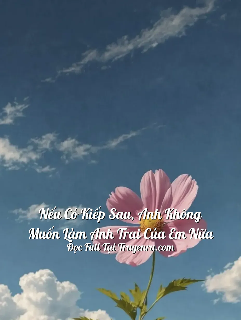 Bìa truyện Nếu Có Kiếp Sau, Anh Không Muốn Làm Anh Trai Của Em Nữa