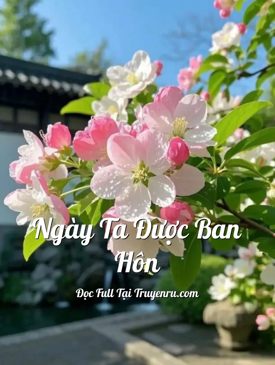 Bìa truyện Ngày Ta Được Ban Hôn