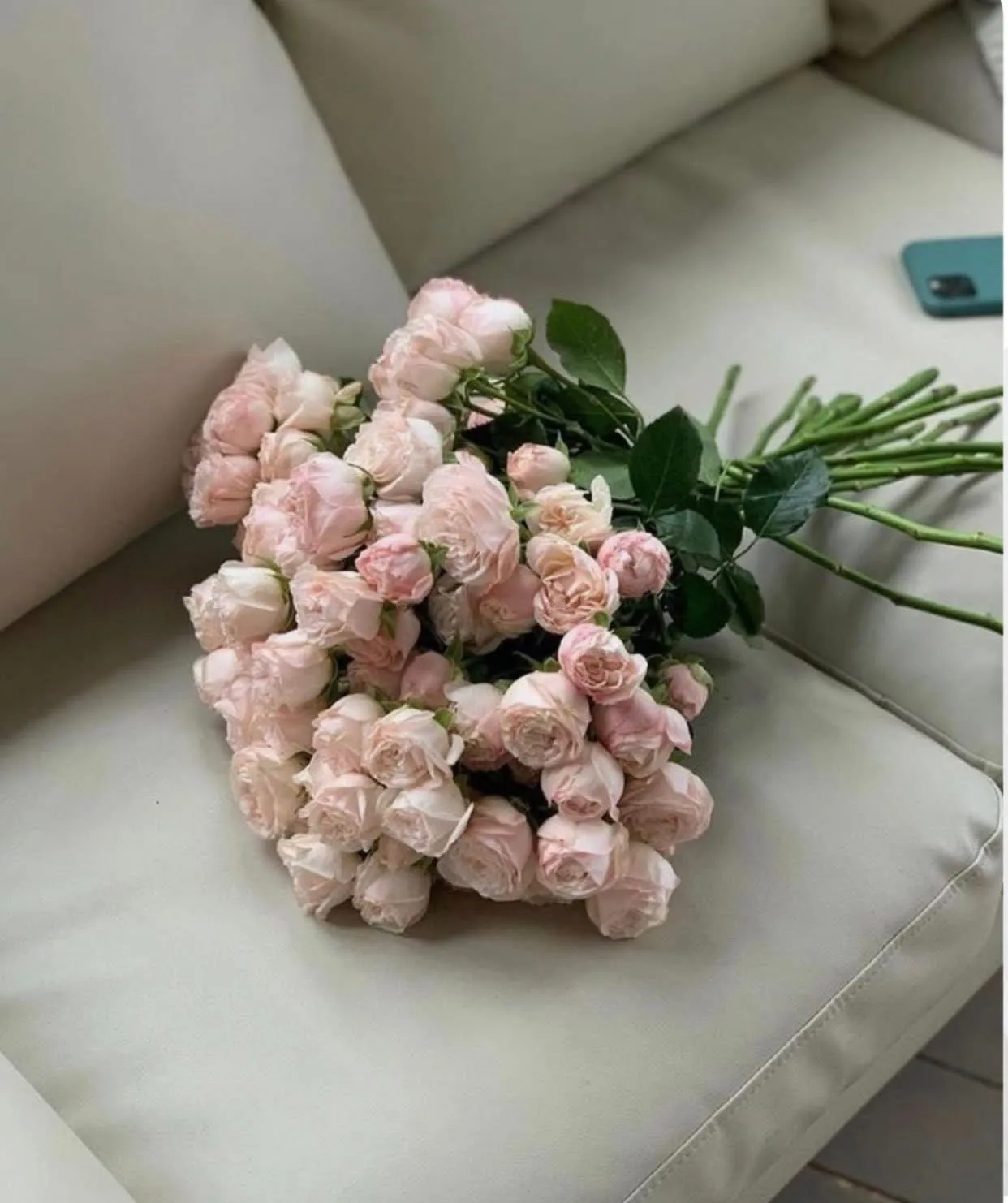 Bìa truyện SỐNG LẠI LẦN NỮA ANH CHỌN KHÔNG CHUNG SỐNG CÙNG TÔI NỮA