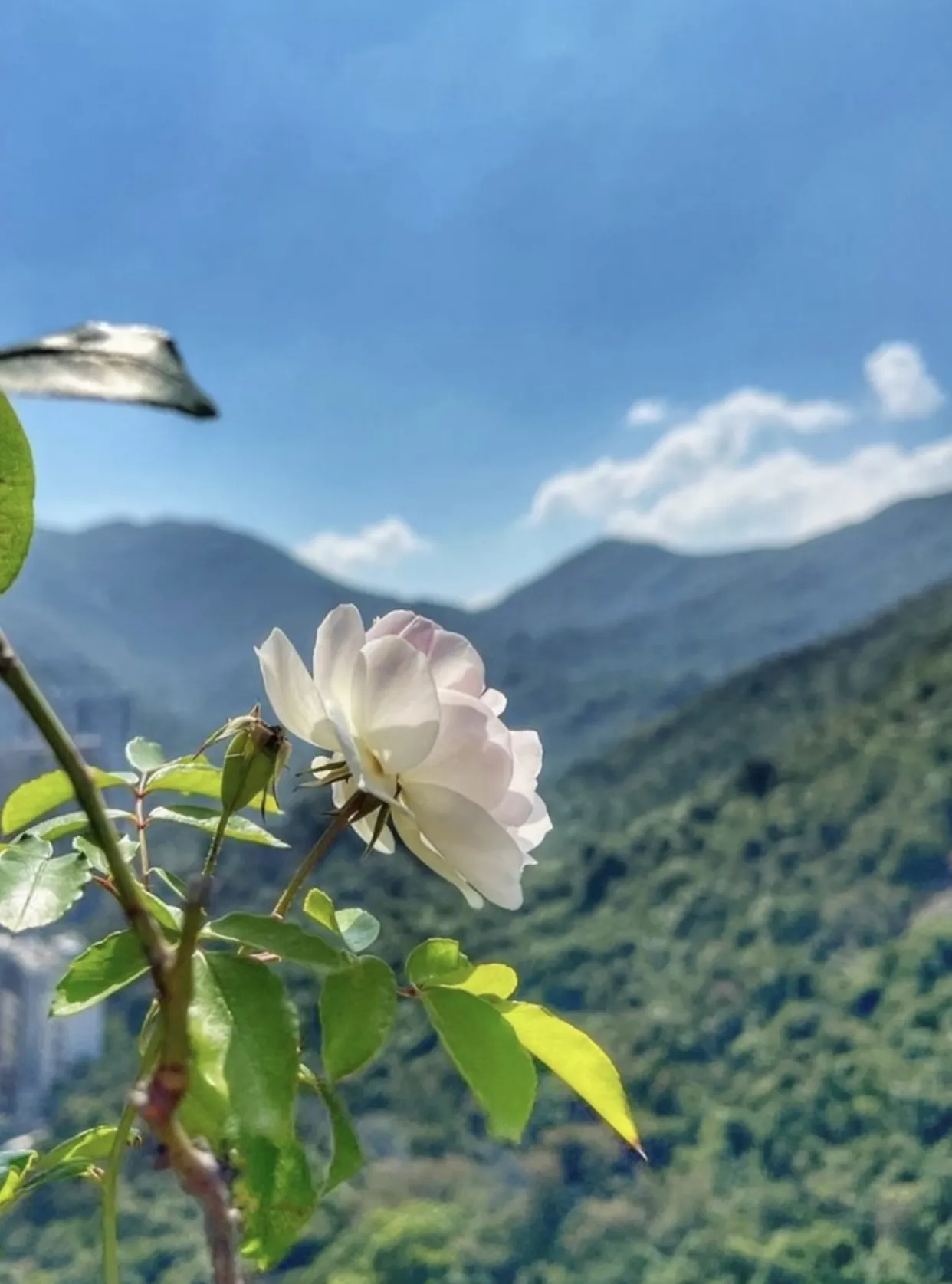 Bìa truyện TAN NÁT CON TIM FULL