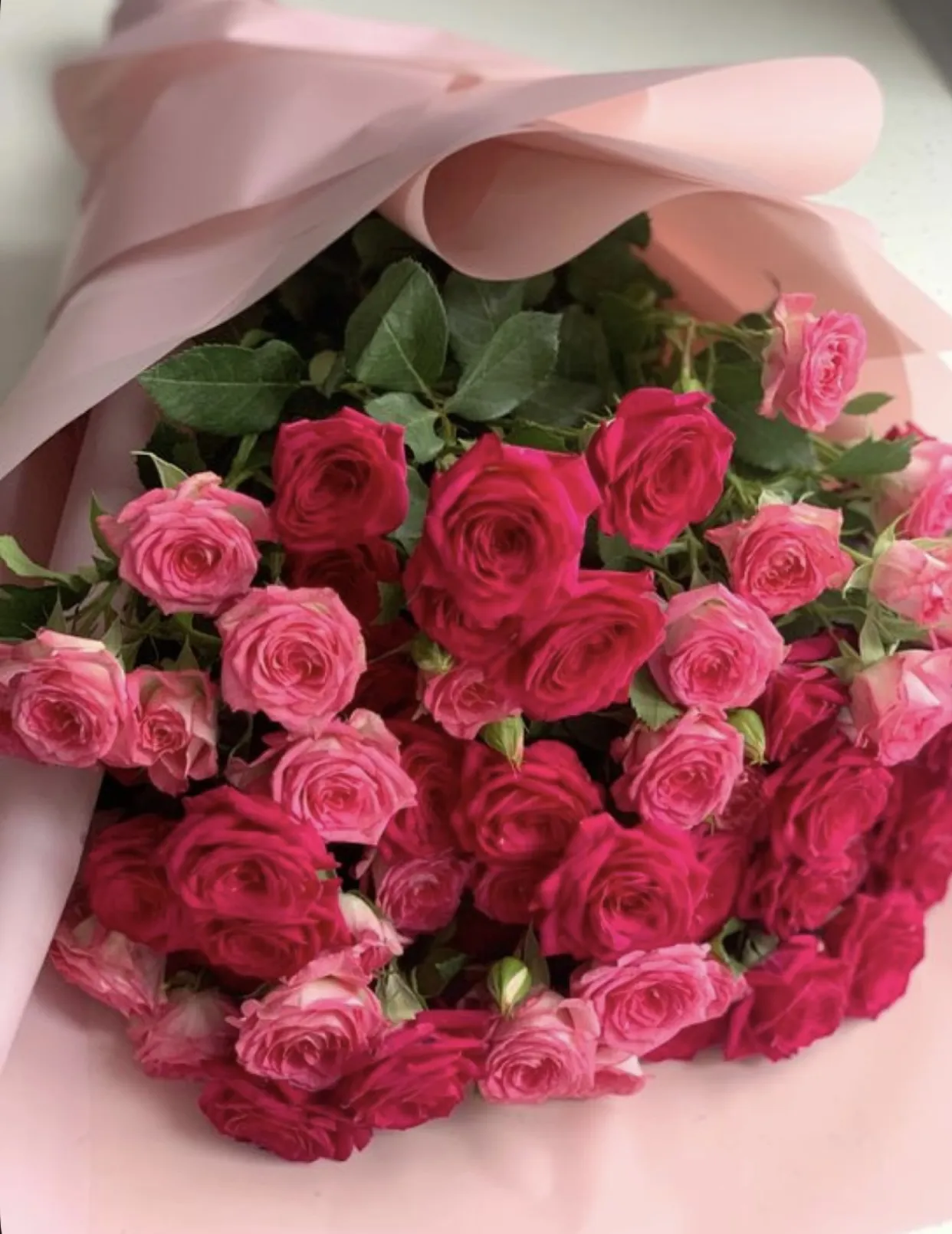 Bìa truyện THIẾU GIA CÂM