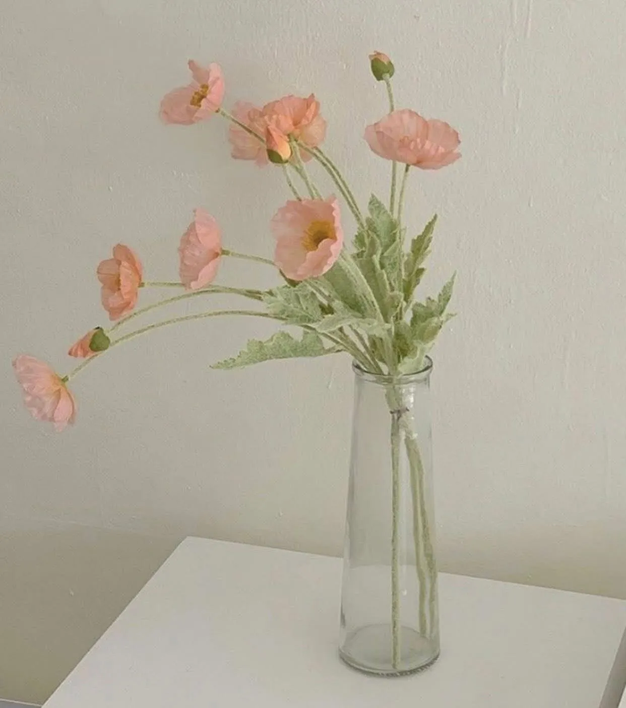 Bìa truyện TÌNH CẢM DỪNG ĐÚNG LÚC