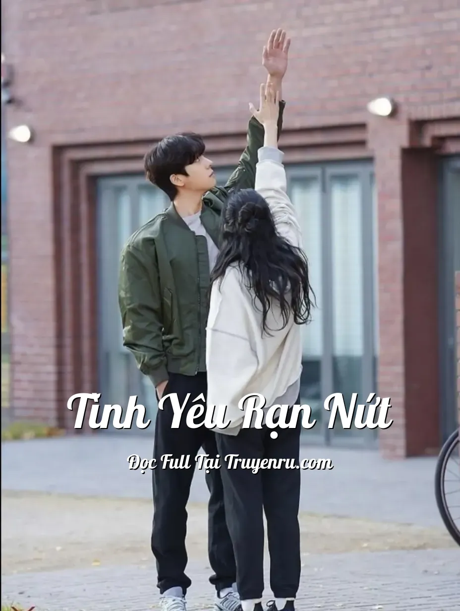 Bìa truyện Tình Yêu Rạn Nứt