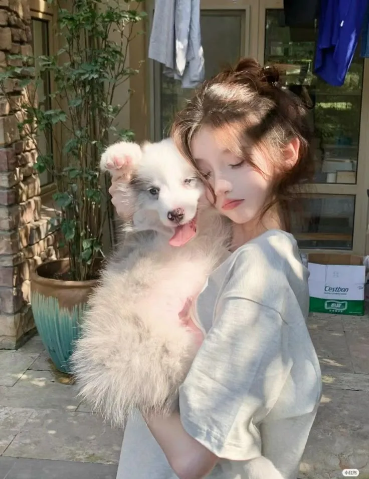 Bìa truyện Thiên Kim Bị Ruồng Bỏ Và Hệ Thống Chó Điên!