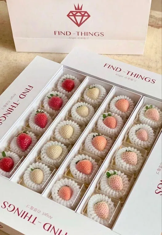 Bìa truyện Trả Giá