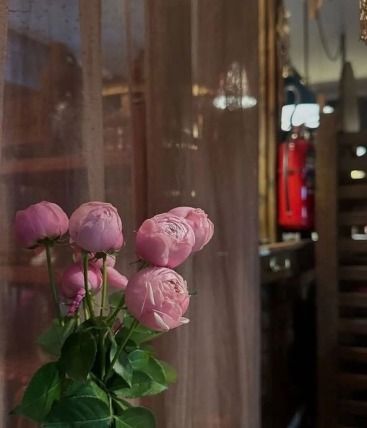 Bìa truyện TÔI LÀ NGƯỜI MÊ NGOẠI HÌNH