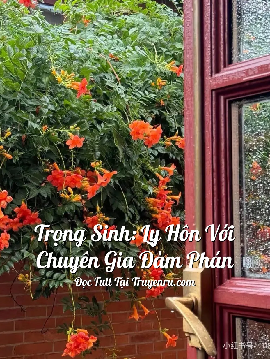 Bìa truyện Trọng Sinh: Ly Hôn Với Chuyên Gia Đàm Phán