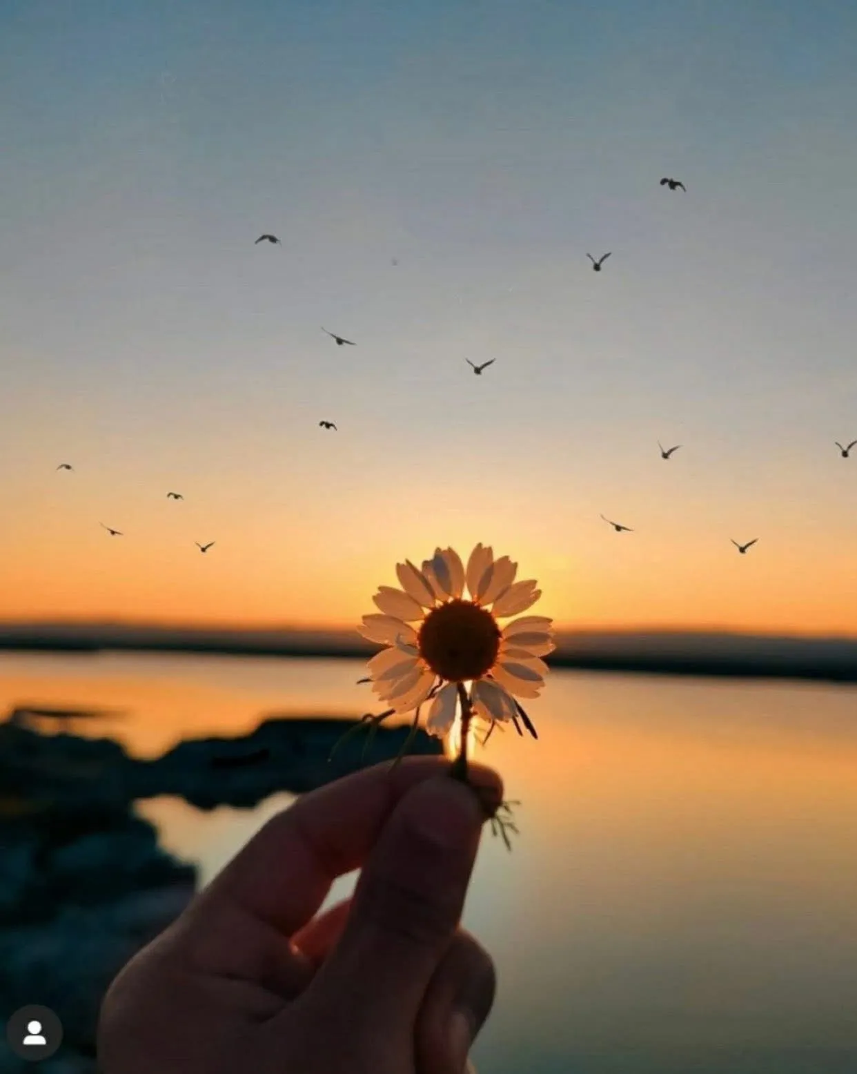 Bìa truyện TUỔI THƠ CÙNG ANH TRAI XĂM TRỔ